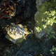 Illustration for article titled iOcarina of Times/i Zora Cave Gets a Next-Gen Facelift